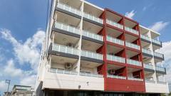 Mr.KINJO in HAIBISU 喜名