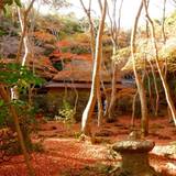 祇王寺（ギオウジ）