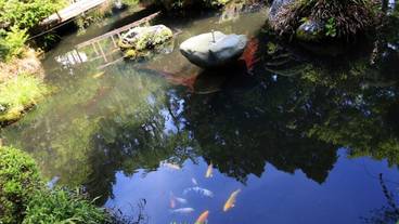 施設からの眺望 / 38