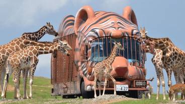 観光スポット / 13