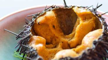 食事・飲み物 / 9