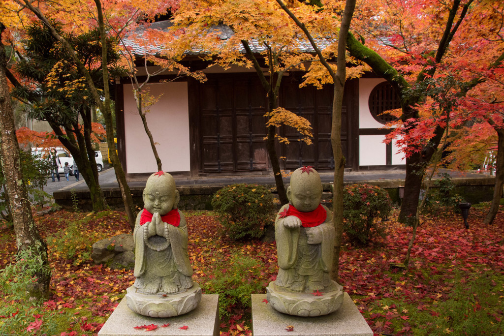 京都の紅葉は、11月上旬から見ごろ1152735
