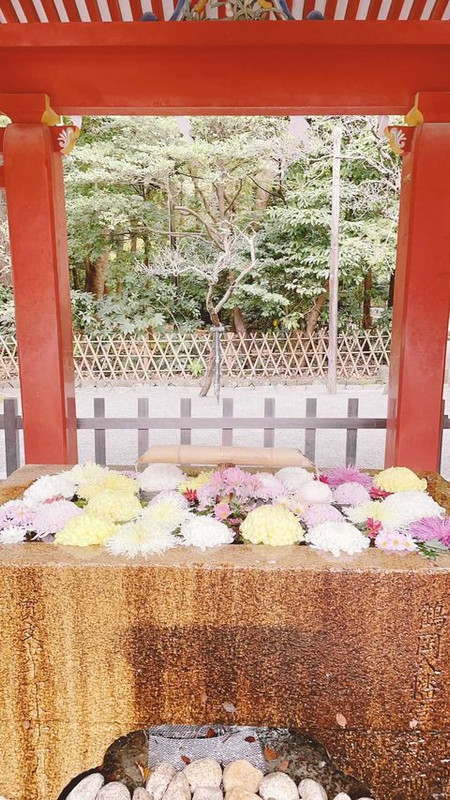 shoko_416さんの写真 / 2