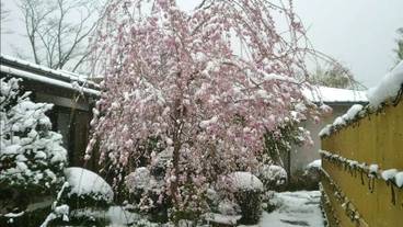 施設の敷地 / 13