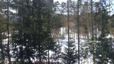 施設の敷地 / 14