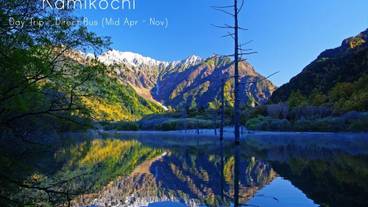 観光スポット / 15