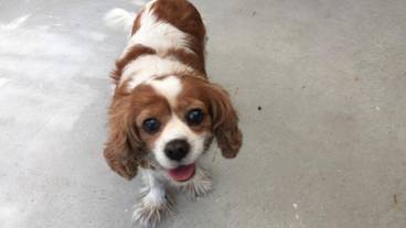 施設の敷地 / 10