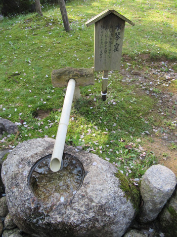 涼やかな音色に耳を傾けて…「義景水琴窟」1619117