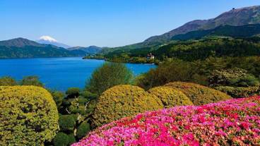 シティ ビュー / 39