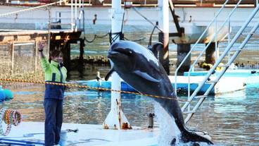 観光スポット / 3