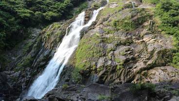 観光スポット / 8