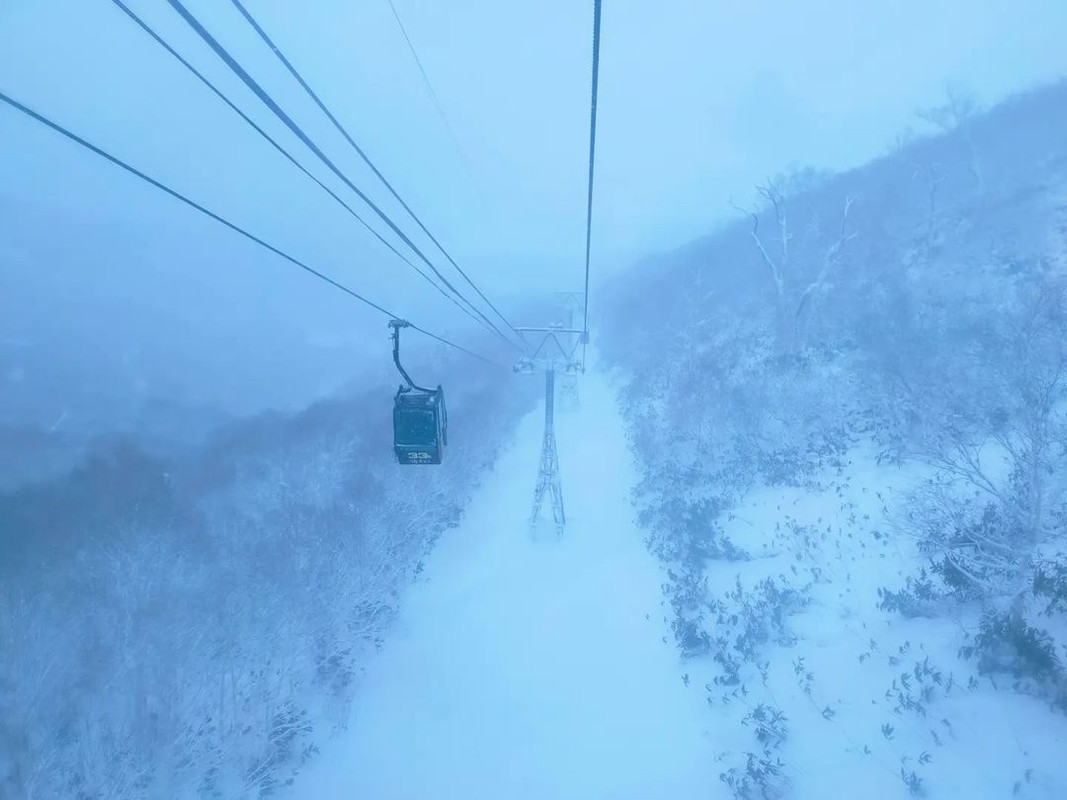 wonderful_traveler_towaさんの写真 / 2