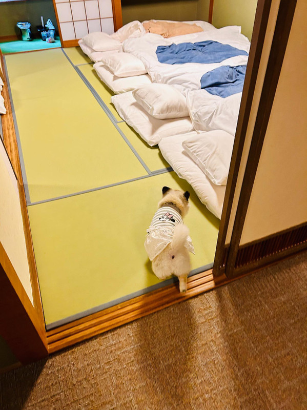 k_chirashi_さんの写真 / 1