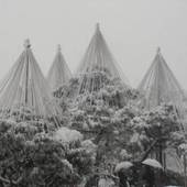 金澤町家シェアハウスGAOoo（石川県 民宿） / 3