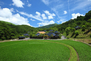 緑や田んぼに囲まれた宿