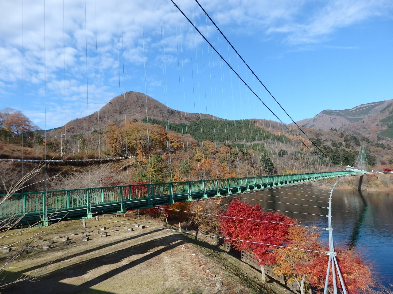 【栃木県】無補剛桁歩道吊橋として本州最大級!「もみじ谷大吊橋」459913