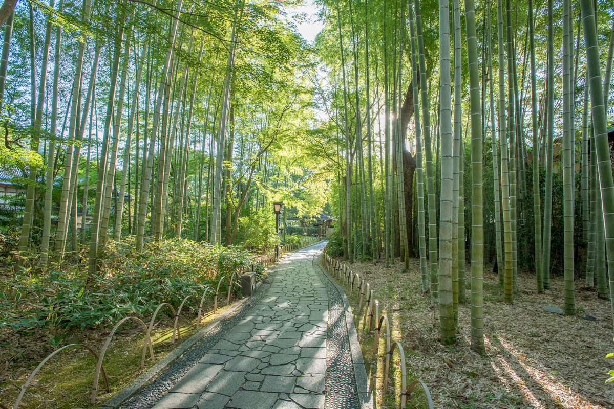 下田蓮台寺温泉 清流荘（シモダレンダイジオンセン セイリュウソウ） / 3