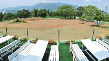 施設の敷地 / 13