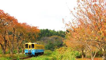 ハイキング / 20