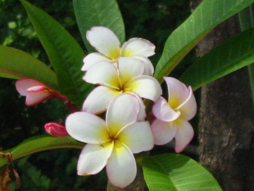 施設からの眺望