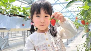 観光スポット / 8