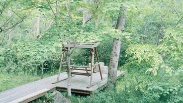 野を愛でる つめ草 屋外テラス / 29