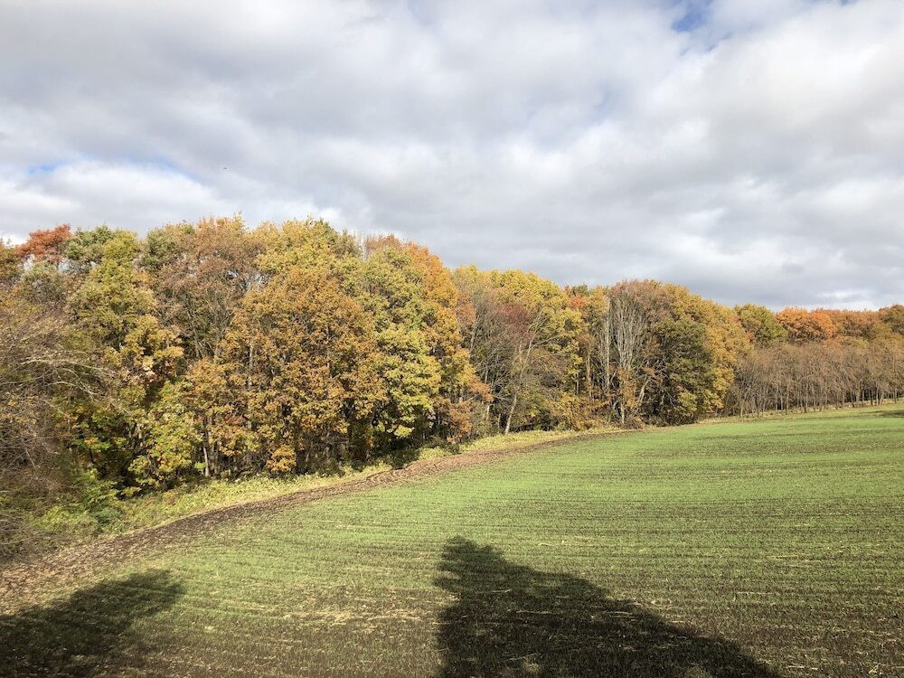 施設からの眺望