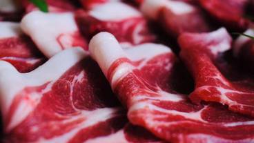 食事・飲み物 / 21