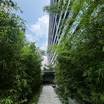植栽