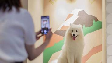 ペット用設備・サービス / 6