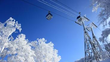 施設の敷地 / 17