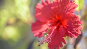 施設からの眺望 / 15