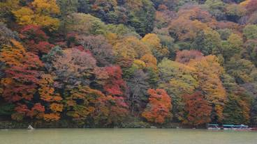 施設からの眺望 / 11