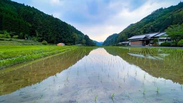 部屋からの景観 / 22