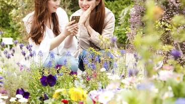 テラス / パティオ / 14