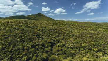 部屋からの景観 / 14