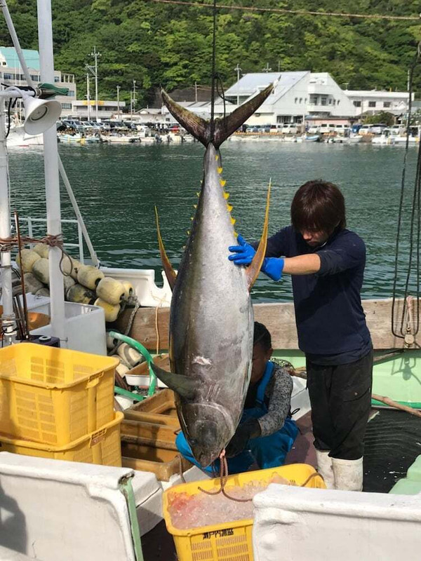 フィットネス設備