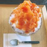 山梨・心がとろける【絶品】かき氷を満喫するなら外せないおすすめ5選
