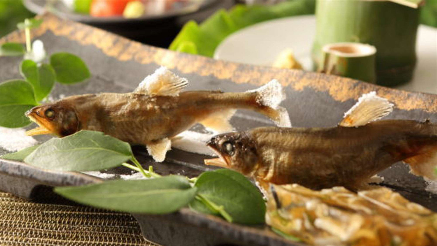 “源泉かけ流しの温泉”に入り放題できる♪3446230