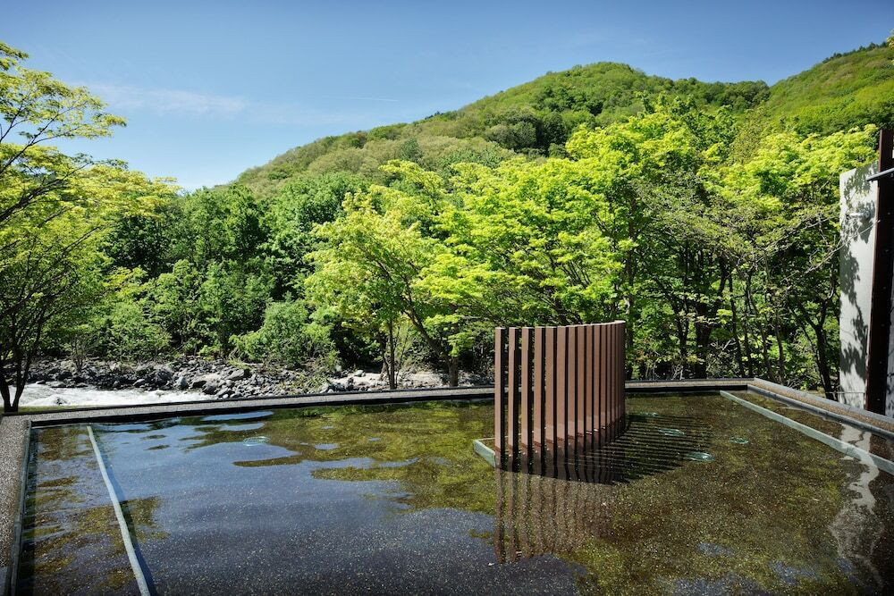 奥入瀬渓流の大自然を満喫!3523349