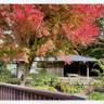 izu_japantravelさんの写真