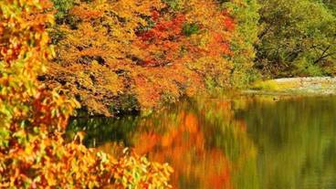 施設の敷地 / 29