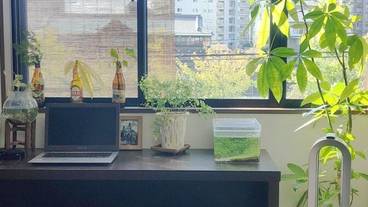 施設からの眺望 / 9