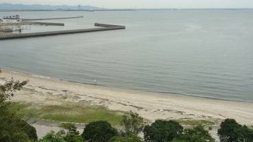 施設からの眺望 / 29