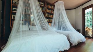 グランピング フォレストキャンプ 禁煙