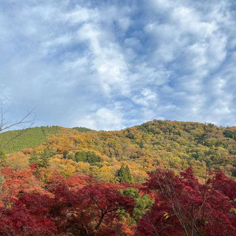 s2oozuさんの写真 / 3