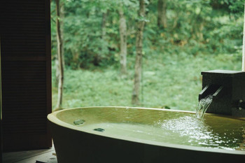 Rich nature and onsen will soothe you and your partner, Tochigi 3402845