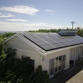 島の宿 三宅島スナッパー（東京都 民宿） / 4