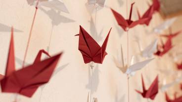 客室の設備とサービス / 21