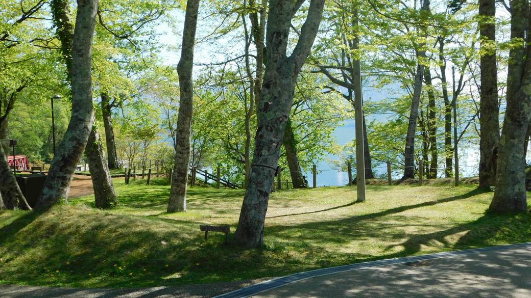支笏湖／遊歩道の風景 / 2